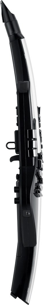 ROLAND AE30