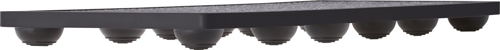ROLAND NE10